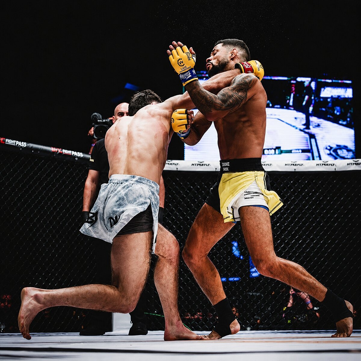 Atleta impegnato in un incontro professionistico di MMA nella gabbia