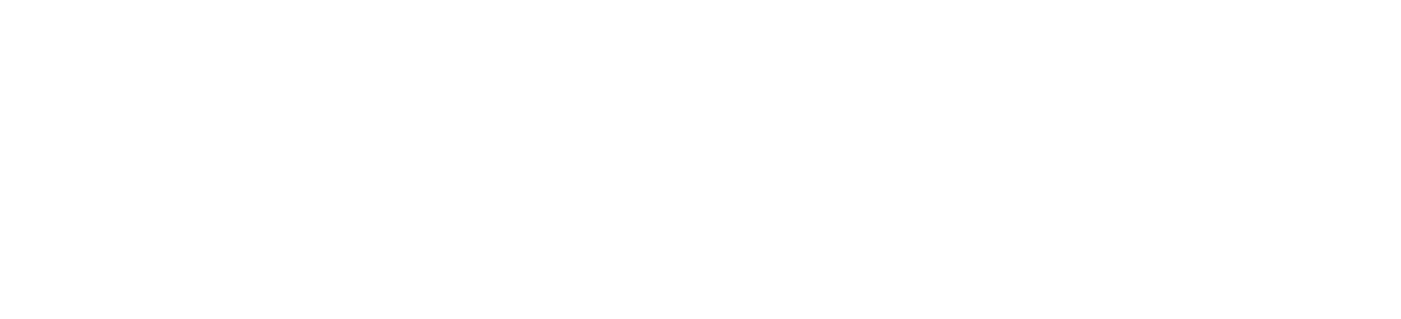 Aurora MMA Roma