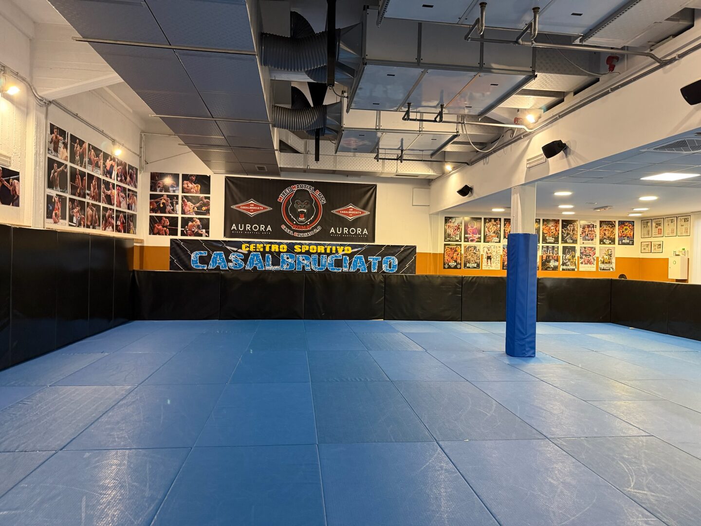 Sala tatami e area allenamento della palestra Aurora MMA in Via degli Alberini a Roma